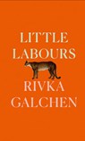 Little Labours - Rivka Galchen - 9780008225186