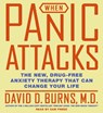 When Panic Attacks - BURNS,  David D. - 9780060577100