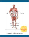 Atlas of Skeletal Muscles - Judith Stone ; Robert Stone - 9780071316682