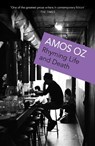 Rhyming Life and Death - Amos Oz - 9780099521020