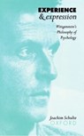 Experience and Expression - Joachim Schulte - 9780198236061