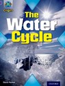 Project X Origins: Purple Book Band, Oxford Level 8: Water: The Water Cycle - Steve Parker - 9780198301820