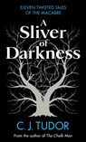 A Sliver of Darkness - TUDOR,  C. J. - 9780241582640