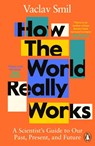 How the World Really Works - SMIL,  Vaclav - 9780241989678