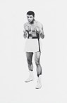 More Than a Champion - Jan Philipp Reemtsma - 9780307481009