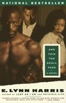 And This Too Shall Pass - E. Lynn Harris - 9780307831743