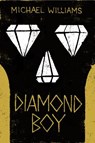 Diamond Boy - Michael Williams - 9780316320689