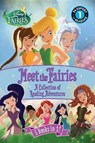 Meet the Fairies - ROSEN,  Lucy ; Fox, Jennifer - 9780316378550