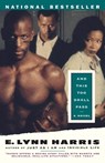 And This Too Shall Pass - E. Lynn Harris - 9780385480314