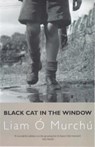 Black Cat in the Window - Liam O Murchu - 9780413753908