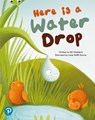 Bug Club Shared Reading: Here is a Water Drop (Year 2) - Elli Woollard - 9780435201920