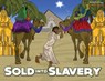 Sold into Slavery - Pip Reid - 9780473384197