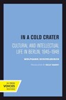 In a Cold Crater - SCHIVELBUSCH,  Wolfgang - 9780520414587