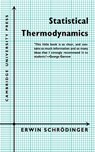 Statistical Thermodynamics - Erwin Schrodinger - 9780521091312