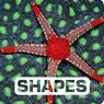 SHAPES - NOUVION,  Judith - 9780544518308