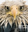 Wildlife Photographer of the Year: Highlights Volume 7 - Rosamund Kidman Cox - 9780565095215