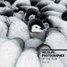 Wildlife Photographer of the Year: Pocket Diary 2023 - The Natural History Museum - 9780565095314