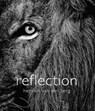 Reflection - Heinrich Van Den Berg - 9780620611114