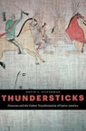 Thundersticks - David J. Silverman - 9780674737471