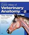 Color Atlas of Veterinary Anatomy, Volume 2, The Horse - Raymond R. Ashdown ; Stanley H. Done - 9780702052293