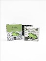 Pond Pals - Words & Pictures - 9780711250574