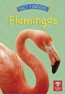 Flamingos - Katie Woolley - 9780711273139