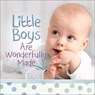 Little Boys Are Wonderfully Made - Harvest House Publishers - 9780736965842