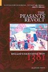 The Peasants' Revolt - DUNN,  Alastair - 9780752429656