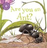 Are You An Ant? - Judy Allen - 9780753458037