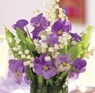Memo Block: Purple Viola -  - 9780754832102
