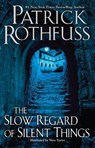 Slow Regard of Silent Things - Patrick Rothfuss - 9780756410438