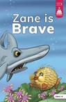 Zane Is Brave - Steve Harpster - 9780756594763