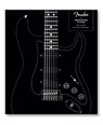 Fender Stratocaster 70 Years - Dave Hunter - 9780760385166