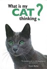 What Is My Cat Thinking? - BAILEY,  Gwen - 9780785834304