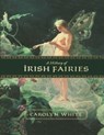 A History of Irish Fairies - Perseus - 9780786715398