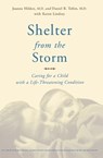 Shelter From The Storm - Joanne Hilden ; Daniel Tobin ; Karen Lindsey - 9780786730674