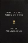 What We See When We Read - Peter Mendelsund - 9780804171632