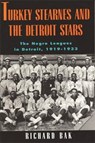 rkey Stearnes and the Detroit Stars - Richard Bak - 9780814325827