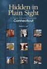 Hidden in Plain Sight - David K. Leff - 9780819572820