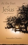 At the Feet of Jesus - Samantha Chambo - 9780834136045