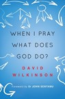 When I Pray, What Does God Do? - David Wilkinson - 9780857216045