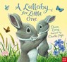 A Lullaby for Little One - Dawn Casey - 9780857639271