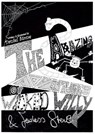 The Amazing Adventures of Wicked Willy & Fearless Steve - STONE,  Daniel - 9780992617066