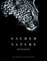 Sacred Nature - Angela Scott ; Jonathan Scott - 9780994692405