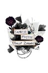 Sunrise Poison - ZHUWAO,  Phillip - 9780994710420