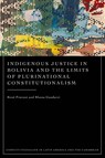 Indigenous Justice in Bolivia and the Limits of Plurinational Constitutionalism - Rene Provost ; Rhona Goodarzi - 9781048001693