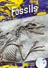 Fossils - Julie Murray - 9781098287153