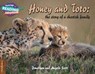 Cambridge Reading Adventures Honey and Toto: The Story of a Cheetah Family 1 Pathfinders - Jonathan and Angela Scott - 9781108436151