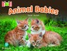 Bug Club Reading Corner: Age 4-7: Animal Babies - Sarah Russell - 9781292447209