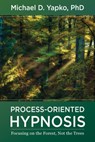 Process-Oriented Hypnosis - Michael D. Yapko - 9781324016335